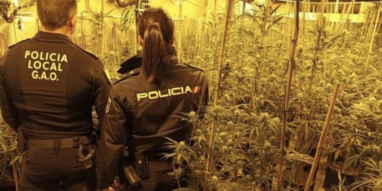 1 milion euro mall/ Goditet banda e drogës në Spanjë, drejtohej nga shqiptarët