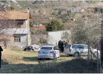 FOTO/ Qëllohet me plumba ish-kreu i PD-së në Peqin