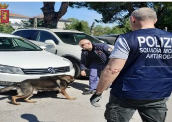 Qeni i antidrogës u prish planet, arrestohet trafikanti shqiptari që furnizoi botën