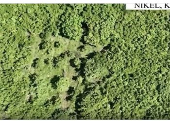 Megaoperacioni “Territor i pastër”, zbulohen 3 parcela drogë në Krujë