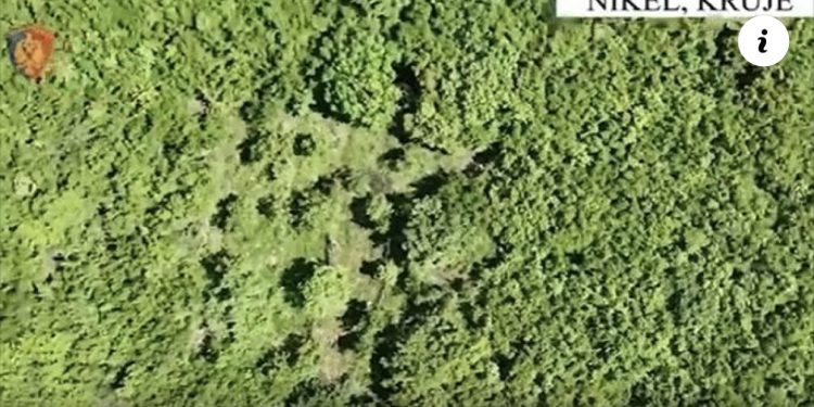 Megaoperacioni “Territor i pastër”, zbulohen 3 parcela drogë në Krujë