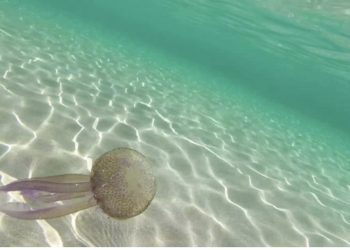 Shqipëria ndër vendet me sezonalitetin më të lartë turistik në Europë