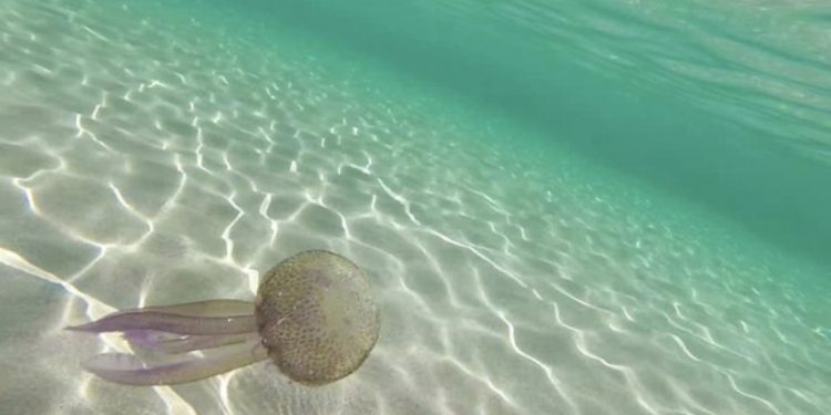 Shqipëria ndër vendet me sezonalitetin më të lartë turistik në Europë