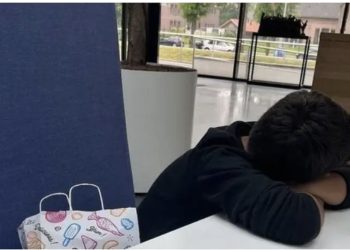 Misteri/ I mituri gjendet në Holandë disa muaj pas tërmetit, nuk dihet si mbërriti aty