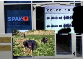“I kan pre a s’i kanë pre”/ Komunikonin me radio, zbardhen përgjimet e SPAK për trafikantët e drogës në Krujë, lirohet njëri prej tyre
