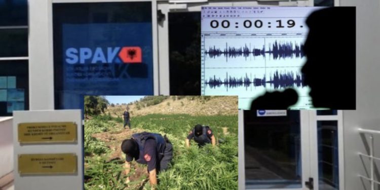 “I kan pre a s’i kanë pre”/ Komunikonin me radio, zbardhen përgjimet e SPAK për trafikantët e drogës në Krujë, lirohet njëri prej tyre