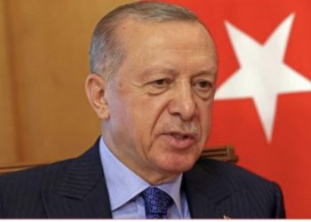 Hapen mbi 85% e kutive në Turqi, kryeson Erdogan