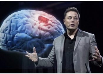 Elon Musk merr miratimin e FDA që të testojë vendosjen e çipit në tru tek njerëzit