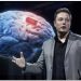 Elon Musk merr miratimin e FDA që të testojë vendosjen e çipit në tru tek njerëzit