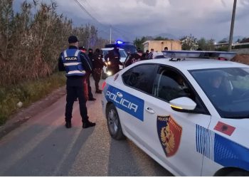 I dolën para me thikë, si u vra adoleshenti për radhën në një kënd lojërash?