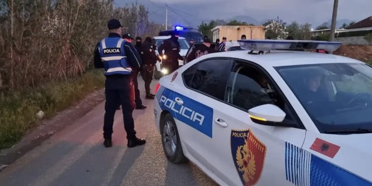 I dolën para me thikë, si u vra adoleshenti për radhën në një kënd lojërash?