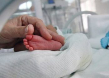 Shqipëria ‘po vdes’, Lindjet bien në nivele historike, shtesa natyrore e popullsisë negative