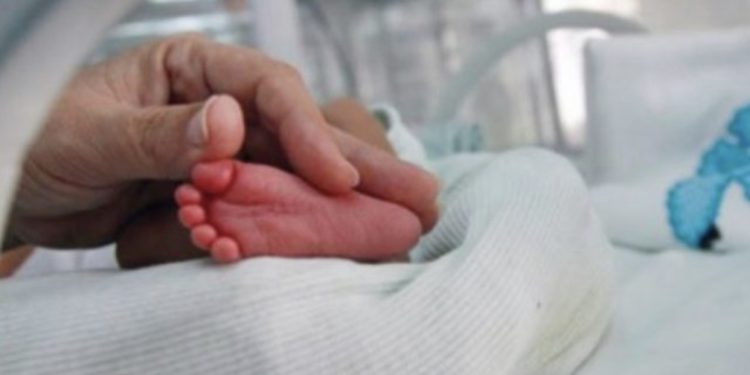 Shqipëria ‘po vdes’, Lindjet bien në nivele historike, shtesa natyrore e popullsisë negative