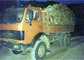 “Dogji” dy policë! SPAK tregon “muskujt” me një kamion me dru zjarri