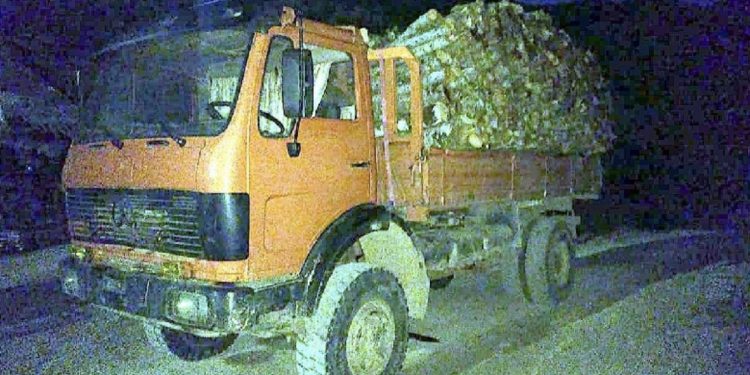 “Dogji” dy policë! SPAK tregon “muskujt” me një kamion me dru zjarri