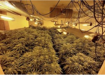 Nga artist në trafikant, historia e trishtë e shqiptarit që u kap në “shtëpi bari” në Britani