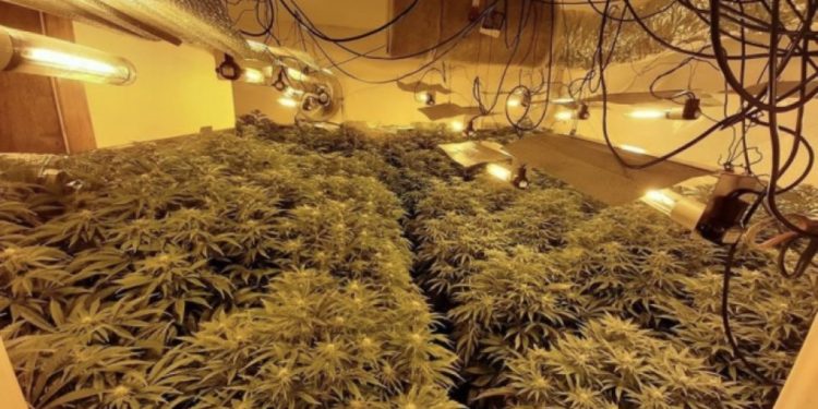 Nga artist në trafikant, historia e trishtë e shqiptarit që u kap në “shtëpi bari” në Britani