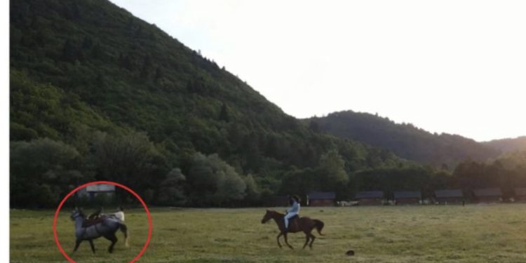 VIDEO/ Moderatori i njohur bie nga kali në nisje të emisionit