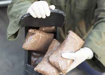 Shkatërrohet rrjeti kriminal, 35 shqiptarë në pranga