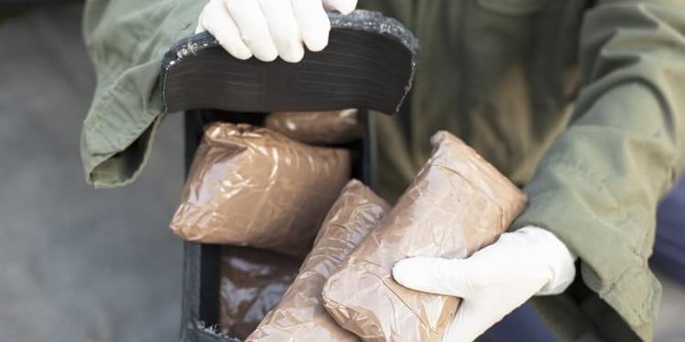 Shkatërrohet rrjeti kriminal, 35 shqiptarë në pranga