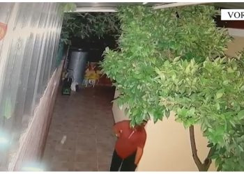 VIDEO/ Ngriti kurthin me tritol për pronarin e shtëpisë, por ra vetë brenda