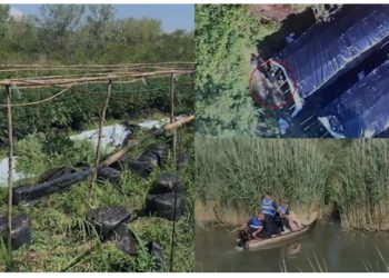 VIDEO+EMRAT/ Momenti kur Policia kap në flagrancë dy trafikantët që kujdeseshin për 6 serat me kanabis në Velipojë