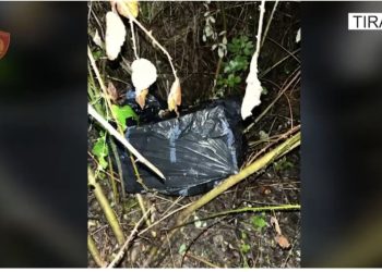 VIDEO/ Hajdutët shkulin kasafortën e biznesmenit dhe e hedhin te liqeni në Tiranë