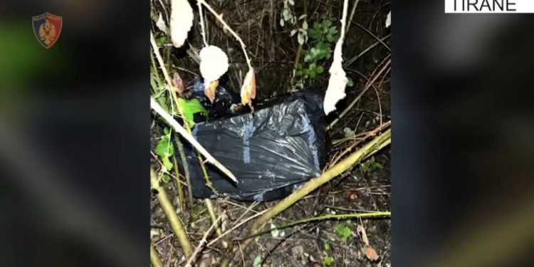 VIDEO/ Hajdutët shkulin kasafortën e biznesmenit dhe e hedhin te liqeni në Tiranë