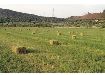 EMRI+FOTO/ Ky është 22-vjeçari që humbi jetën në Konispol