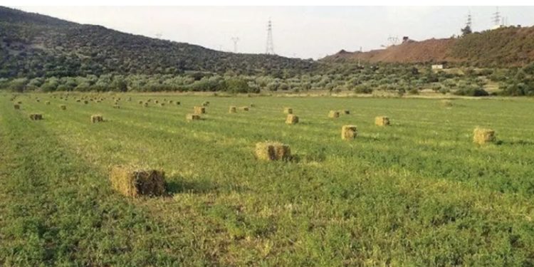 EMRI+FOTO/ Ky është 22-vjeçari që humbi jetën në Konispol