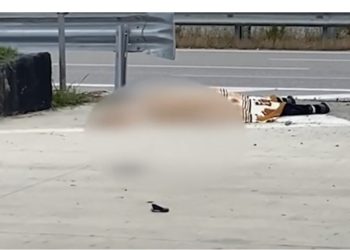 Makina përplas për vdekje këmbësorin në autostradën Fier – Vlorë