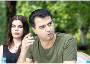 “Duan monopol”, Basha: Berisha, Rama dhe Meta janë shqetësuar nga rikthimi im