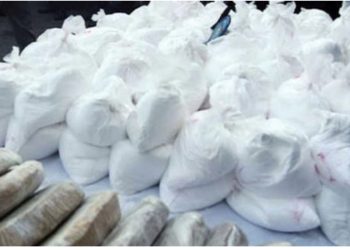 Ulet çmimi i kokainës, eksperti: Nga 32 mijë euro ka shkuar në 20 mijë euro kg, ka sasi të mëdha