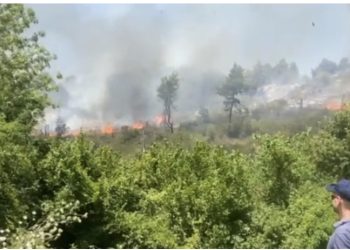 Del jashtë kontrollit zjarri në Peshtan të Fierit, 25 hektarë të shkrumbuar