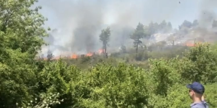 Del jashtë kontrollit zjarri në Peshtan të Fierit, 25 hektarë të shkrumbuar