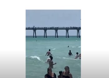 VIDEO/ Peshkaqeni del në breg, shtangen turistët