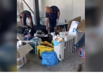 Mallra kontrabandë nga Italia në Shqipëri, arrestohet shoferi dhe pronari i furgonit