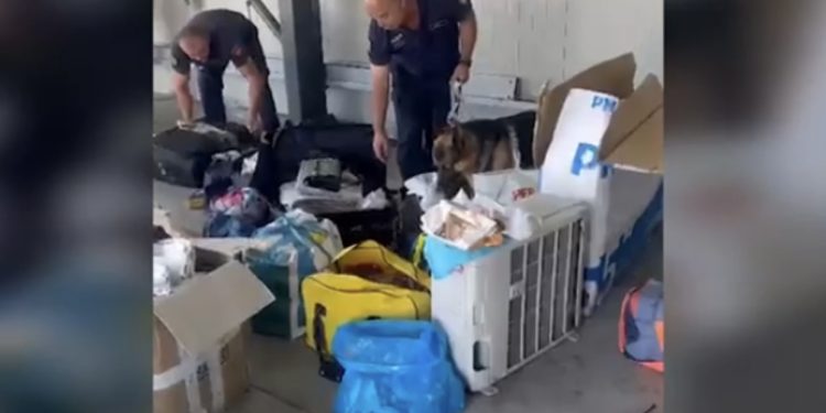 Mallra kontrabandë nga Italia në Shqipëri, arrestohet shoferi dhe pronari i furgonit