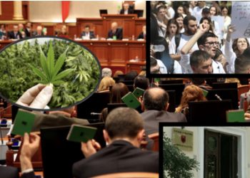 EMRAT/ Votimi në Kuvend, tre deputetë socialistë abstenuan legalizimin e kanabisit mjekësor!