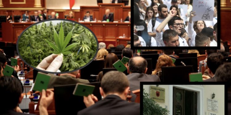 EMRAT/ Votimi në Kuvend, tre deputetë socialistë abstenuan legalizimin e kanabisit mjekësor!