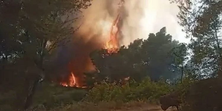 Zjarret në Peshtan, dëgjohen shpërthime municionesh, bllokohet aksin Cakran-Fier