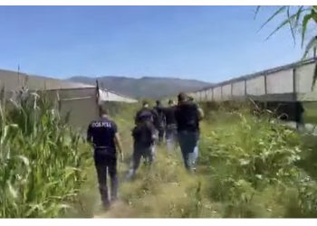 “Shtrihu në tokë”! Vrap me kallash në dorë, FNSH rrethon serën me dronë