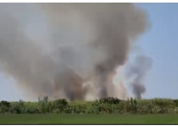 Situata jashtë kontrollit në Kraps të Fierit/ Banorët: Flakët po përpijnë edhe banesat dhe bagëtitë. Vetëm 3 mjete në terren