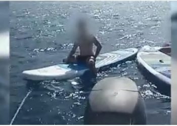 Era e fortë i çoi në det të hapur, policia shpëton pesë turistët me kajak