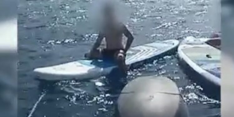 Era e fortë i çoi në det të hapur, policia shpëton pesë turistët me kajak