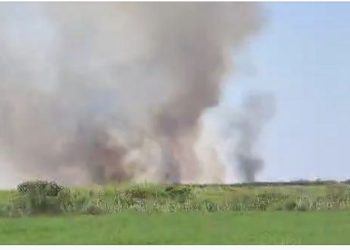 VIDEO/ Përshihet nga flakët një sipërfaqe me 10 hektarë grurë në Fier, nuk dihet shkaku