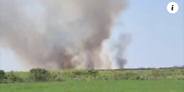 VIDEO/ Përshihet nga flakët një sipërfaqe me 10 hektarë grurë në Fier, nuk dihet shkaku