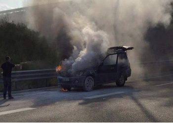 Automjeti merr flakë në Lushnje, detajet e para