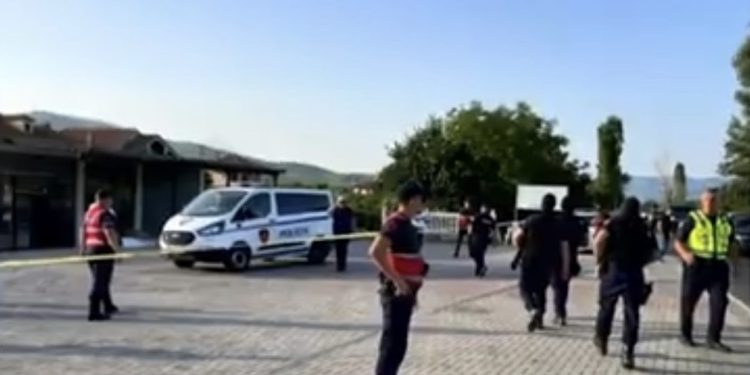 Publikohet FOTO e viktimës/ Ky është “Toli” që u vra për hakmarrje sapo erdhi në atdhe