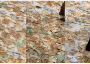 VIDEO-LAJM/ “Çmenduri” në dasmën shqiptare, pista e kërcimit mbulohet nga mijëra euro!